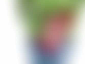 Blasenentzündung natürlich behandeln - 3 bewährte Heilpflanzen & ihre Anwendung