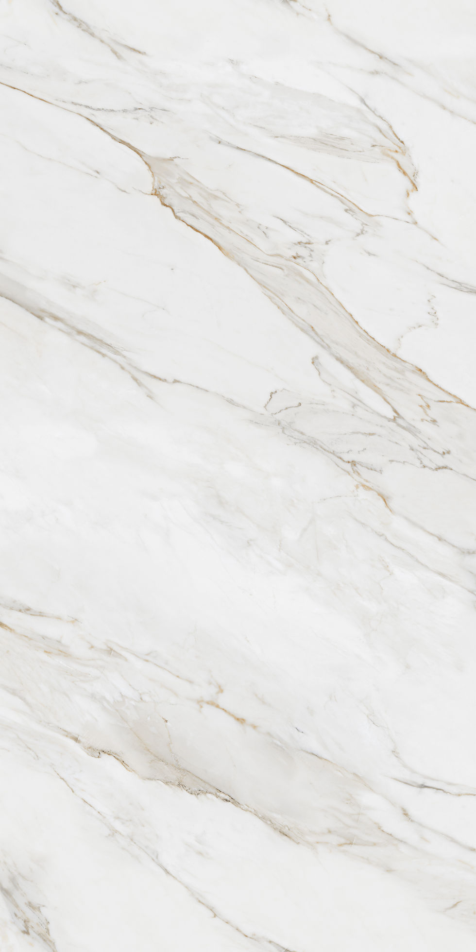 Thumbnail: Calacutta Borghini Porcelain Tile 48x96 - Sold by Piece (1pc/box)
