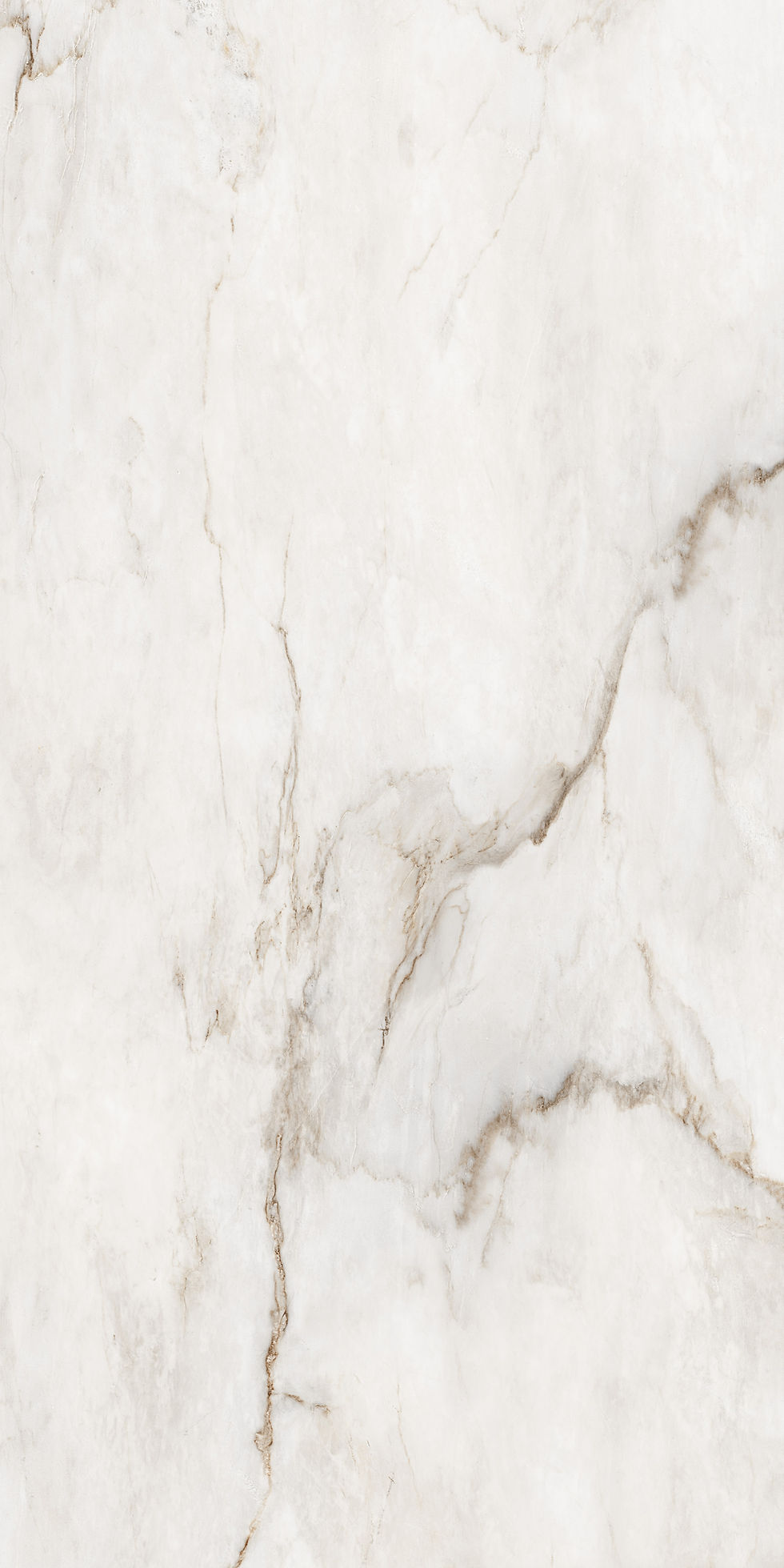 Thumbnail: Calacutta Bianco Oro Porcelain Tile 48x96 - Sold by Piece (1 pc