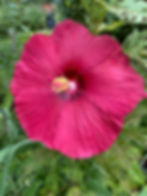 The Season of Summer: Spiritual Transformation with Fire & Joy