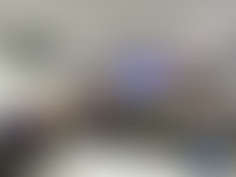 Conselheiros tutelares de Sena participam de encontro regional da categoria em Manoel Urbano