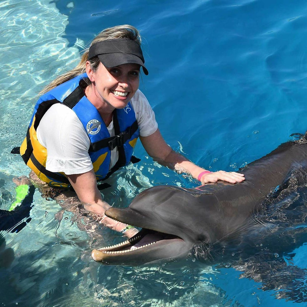 Dolphin Explorer-Paquete Funtastic