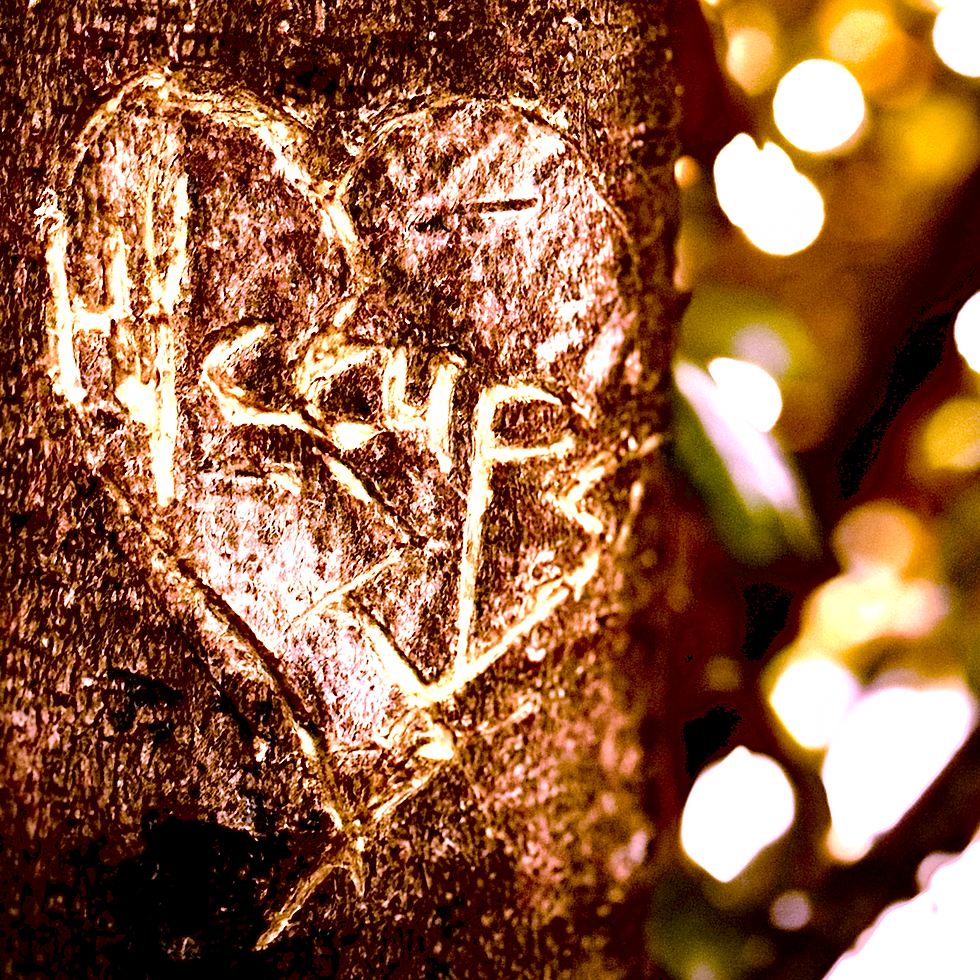 Hiccups tree (Rainey Park carving)