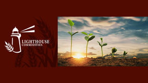 Lighthouse Commodities Launches Innovative Automated Trading System