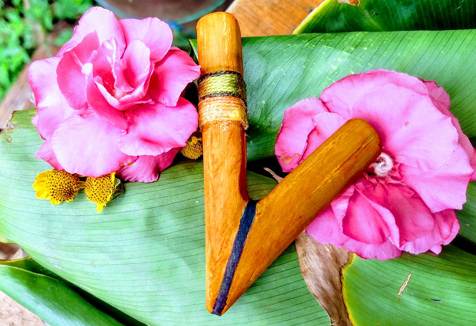 Miniatura: Aplicadores de RAPE