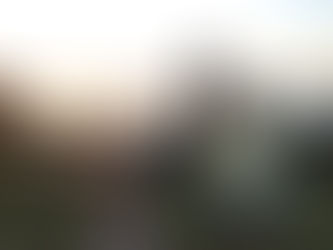 Processing Traumatic Memories