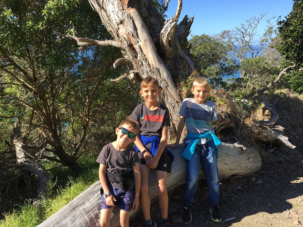 3 boys sitting on a big log while out on a nature walk