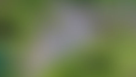 Ausweichanschlussstelle  (Awanst)