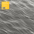 Whitelands Sunlight Echoes album cover with flowing white lines, The One Collection.