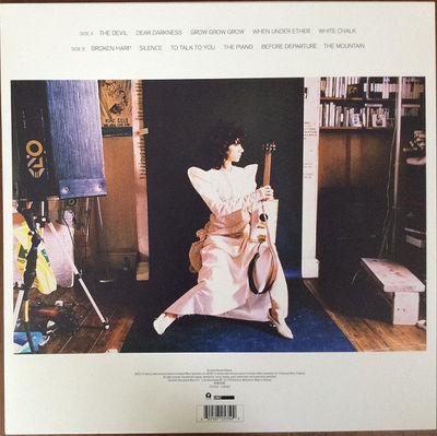 Thumbnail: Stevie Nicks' Trouble In Shangri-La album art:  seated, pink gown, guitar