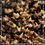 Thumbnail: Kate Bush - The Dreaming (Smokey Vinyl LP 2023, 2018 Remaster, Fish People)