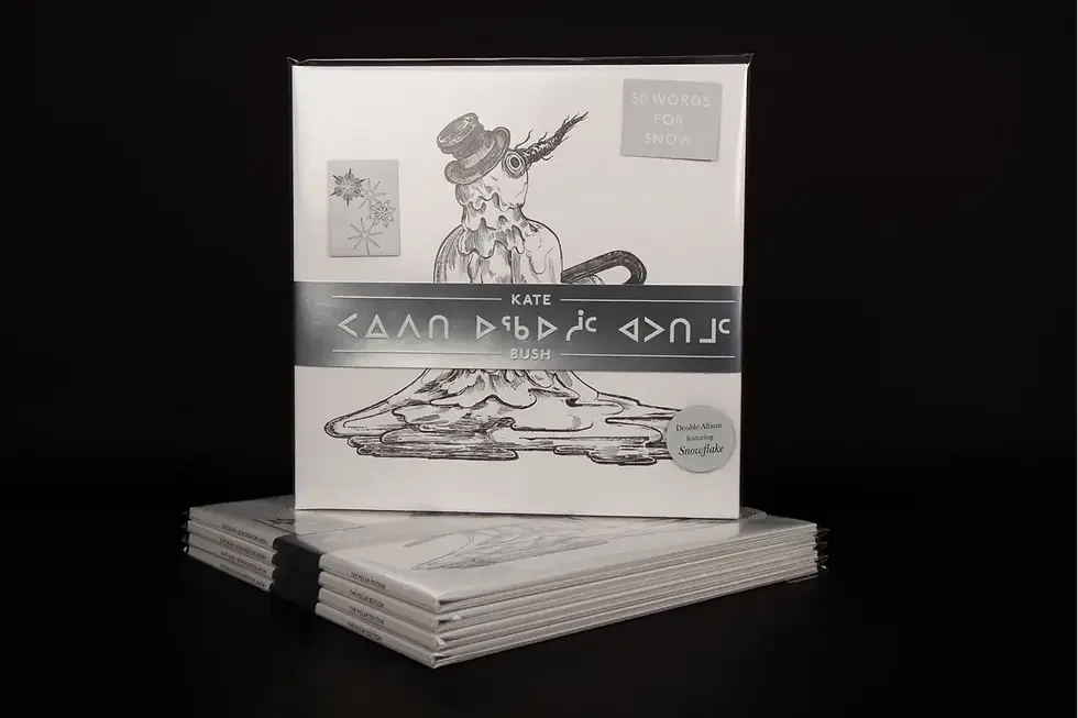 Thumbnail: Kate Bush - 50 Words For Snow(Polar Edition) (2× Vinyl LP 2024, Special Edition)