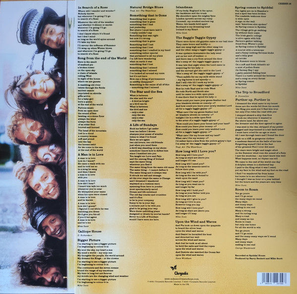 Thumbnail: The Waterboys - Room To Roam (2× Vinyl LP 2021, Remastered, 180g CHENH 16)