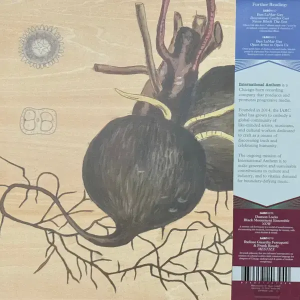 Thumbnail: The Rills - Don’t Be A Stranger album cover with a beet.