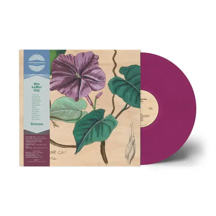 Thumbnail: The Rills - Don’t Be A Stranger transparent red vinyl LP