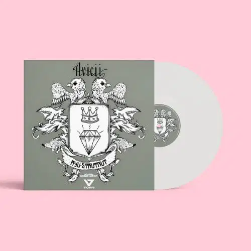 Ryu-Strutnut vinyl release artwork