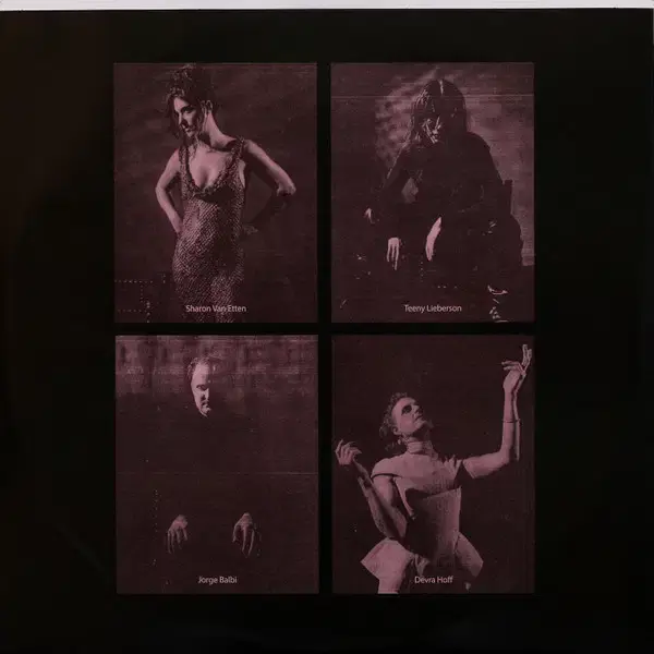 Thumbnail: Sharon Van Etten - The Attachment Theory (Amber Galaxy Vinyl LP 2025, Ltd Ed)