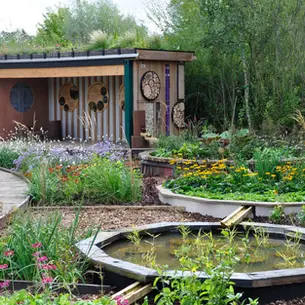 PUBLIC SERVICE: JOHN LITTLE'S UK BASED GRASS ROOF CO.