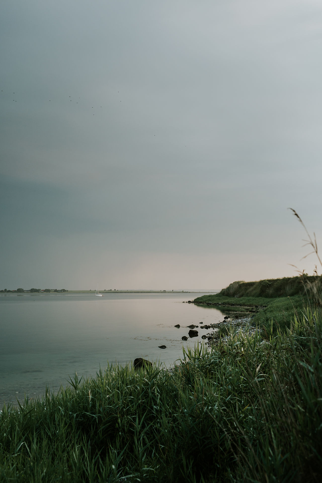 Scenes from Sigridsminde - Images all by Camilla Jorvad. All Rights reserved.