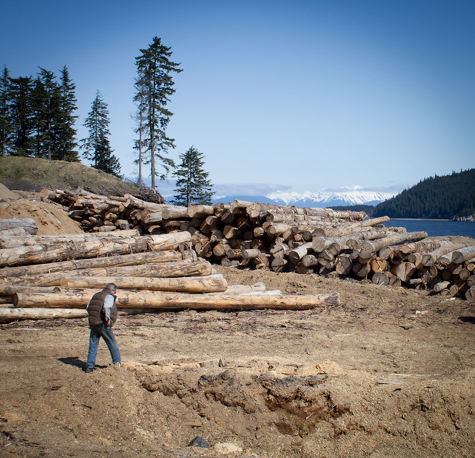 Logging