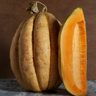 Old Time Tennesee - from "The Melon" - written by Amy Goldman, photos by Victor Schrager, all rights reserved.