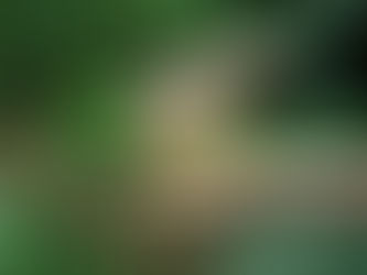 MAKING A LIFE, BY HAND, with MELANIE FALICK, BEST OF