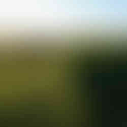 Earth Garden undulations and vibrations, photo by Kiichi Noro, all rights reserved.
