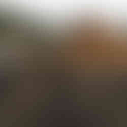 Inspiration & Creation - Images from Wambui Ippolito's life and work, all rights reserved