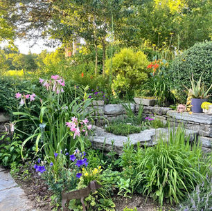 ROOTED IN RELATIONSHIPS, PLANTSMAN ALLEN BUSH