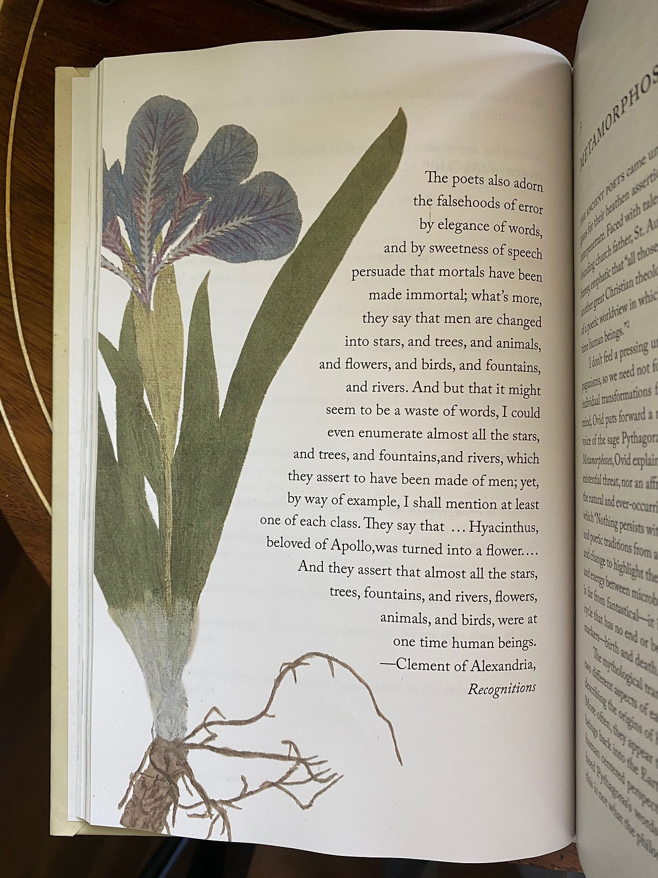 The Poets - Botanical Mythology 3 - from The Imagination of Plants, by Matt Hall. Courtesy of Matt Hall.