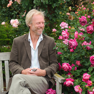 Photo courtesy of David Austin Roses, all rights reserved.