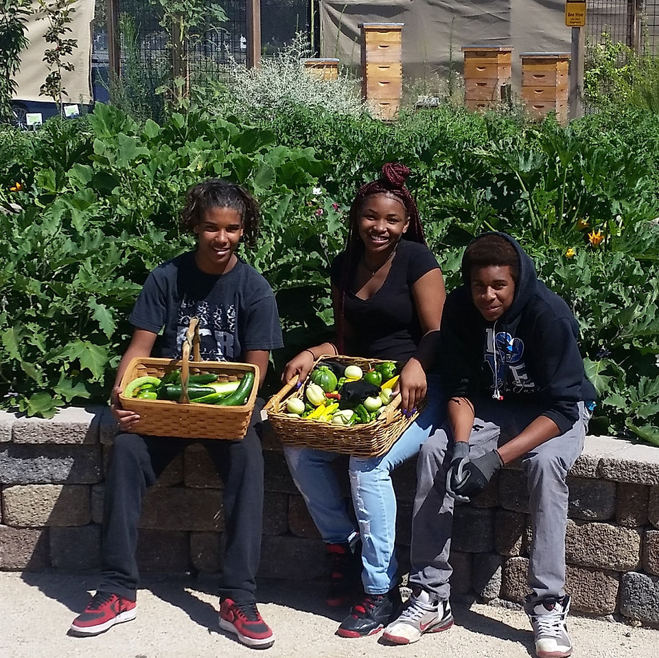 Palmiter hort students
