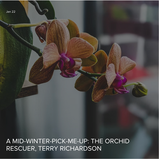 The Orchid Rescuer, Terry Richardson