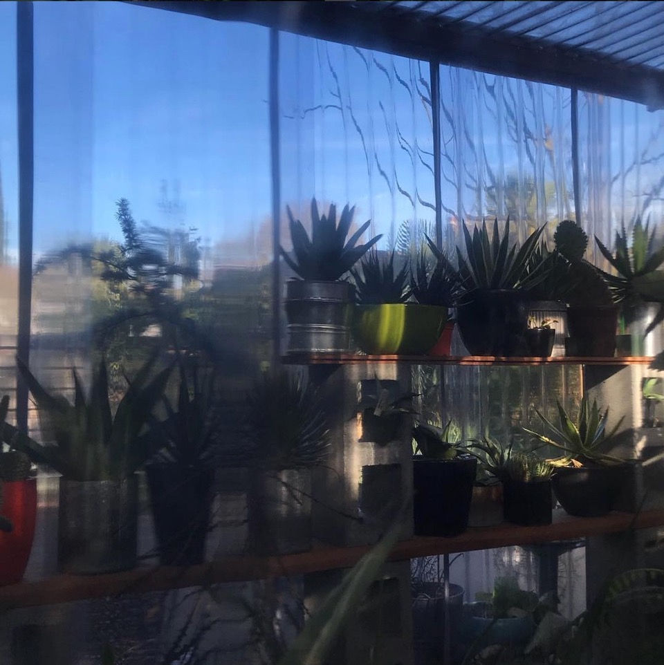 “greenhouse”_prisoners_want_out_to_play.