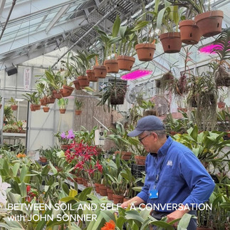 John Sonnier at work in the Orchid House