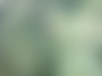 ARTOBER & CP LIVE, "INVISIBLE NEIGHBORS" with LA-BASED STUDIO TUTTO