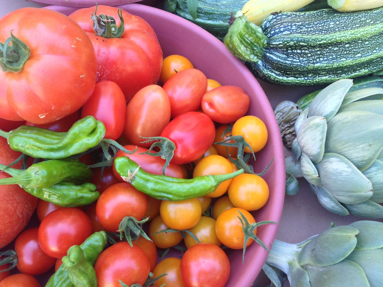 Harvests - Pines House Edible Garden