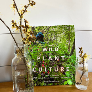 Wild Plant Culture book cover - Photo by Robin Tomlinson