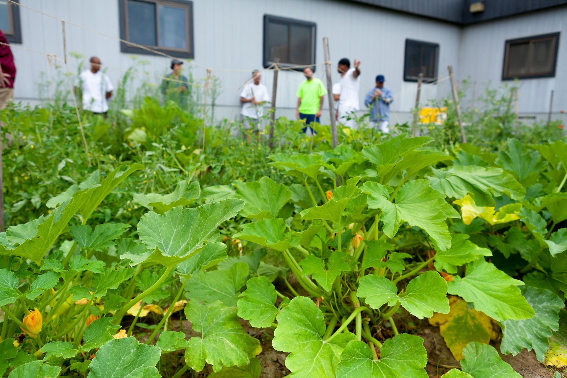 Erika with incarcerated gardeners at Old Colony Correctional Center Minumum; Bridgewater, MA. Photo 