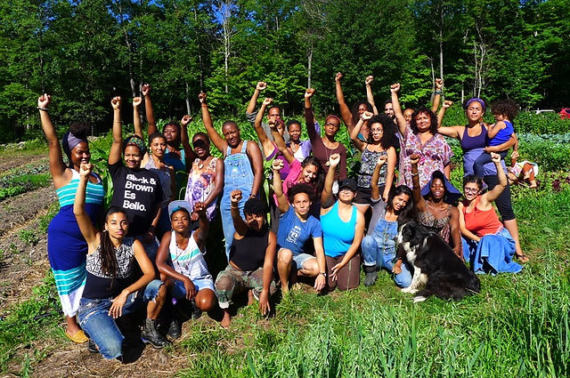 soul fire program