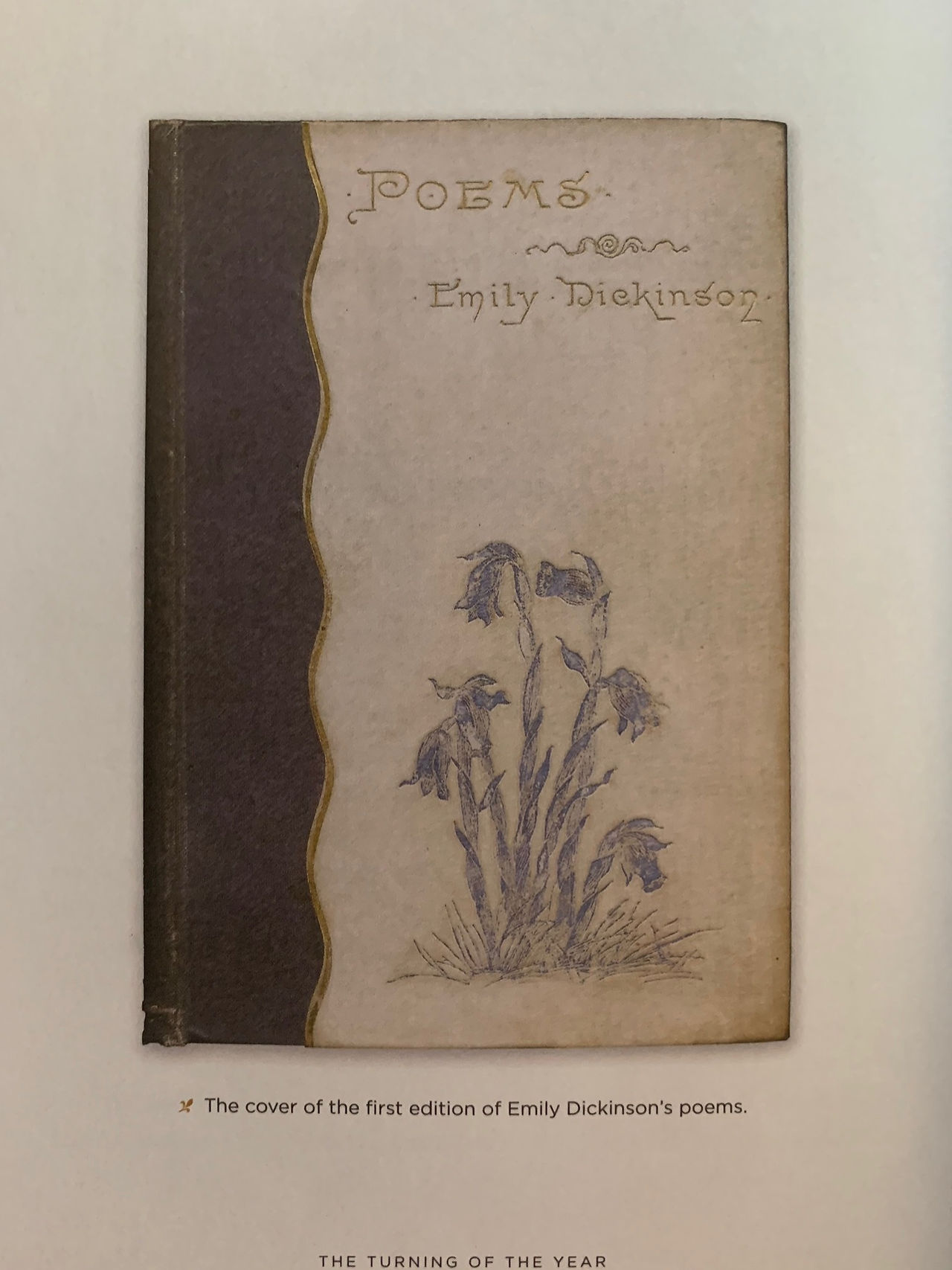 Dickinson's first collected poems
