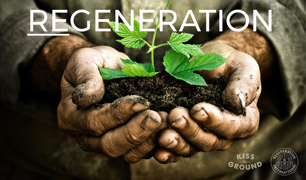 The guiding light and mission of Kiss the Ground, an organization working to restore soils worldwide. ALL PHOTOS COURTESY OF KISS THE GROUND, ALL RIGHTS RESERVED.
