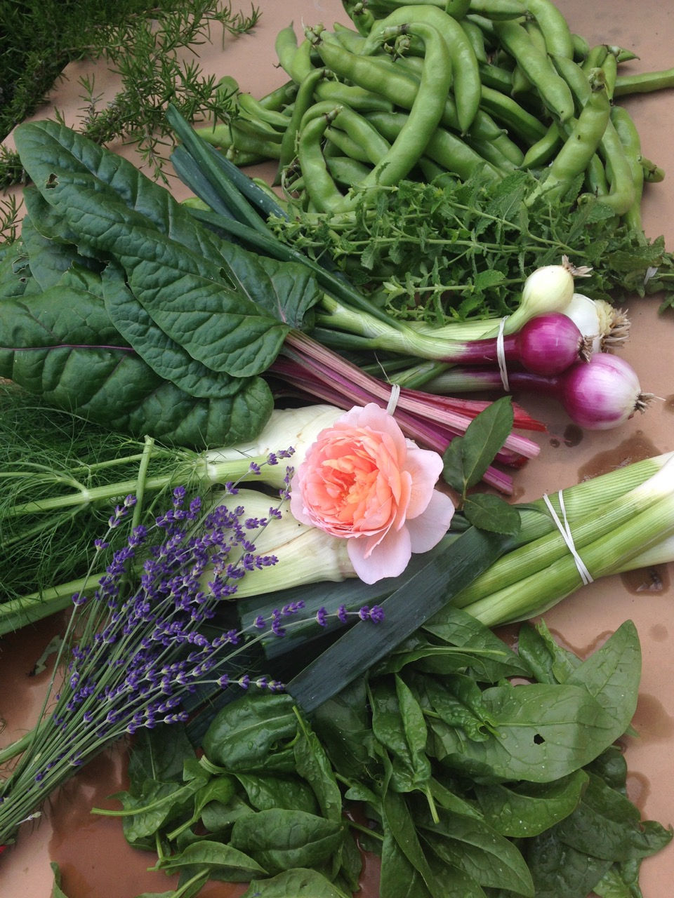 Harvests - Pine House Edible Gardens