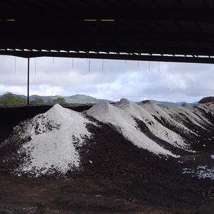 VITAL ENERGY: OMAR AL SHAFIE ON INNOVATIVE RE-THINKING AND GROWING