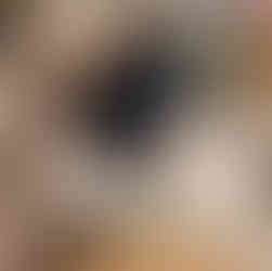 LURIE HERBARIUM SPECS with Jo anna Kubiak, photo courtesy of Laura Ekasetya, All rights reserved.