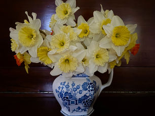 CP NEW MOON NEWSLETTER - FEBRUARY 2026