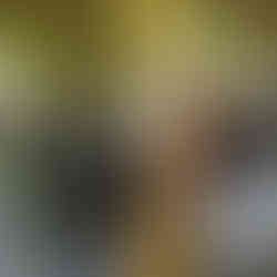 Summer Concert Series in CapRadio Garden at Sac State. Image by Jennifer Reason.