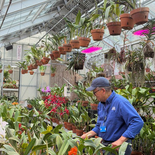 BETWEEN SOIL AND SELF - A CONVERSATION with JOHN SONNIER