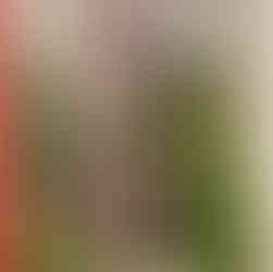 Bonny Doon Gardens, from The Posy Book