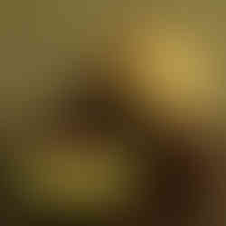 Ananas d'Amerique a Chair Vert - from "The Melon" - written by Amy Goldman, photos by Victor Schrager, all rights reserved.